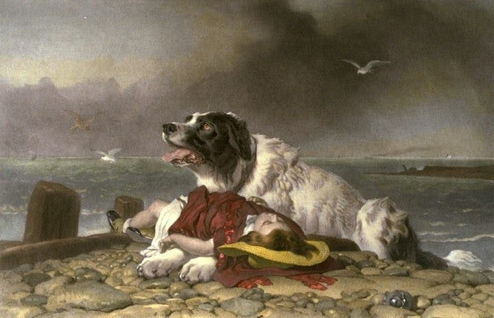 (Спасенная. Э. Г. Ландсир, 1856)