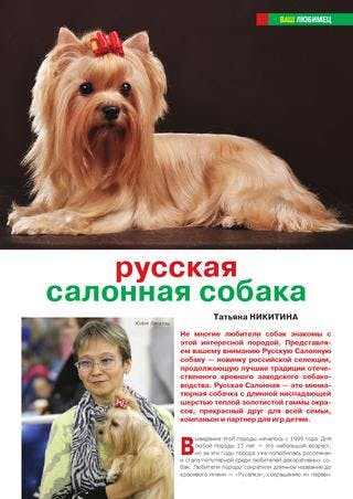 Російська салонна собака - фото, ціна, опис, відео