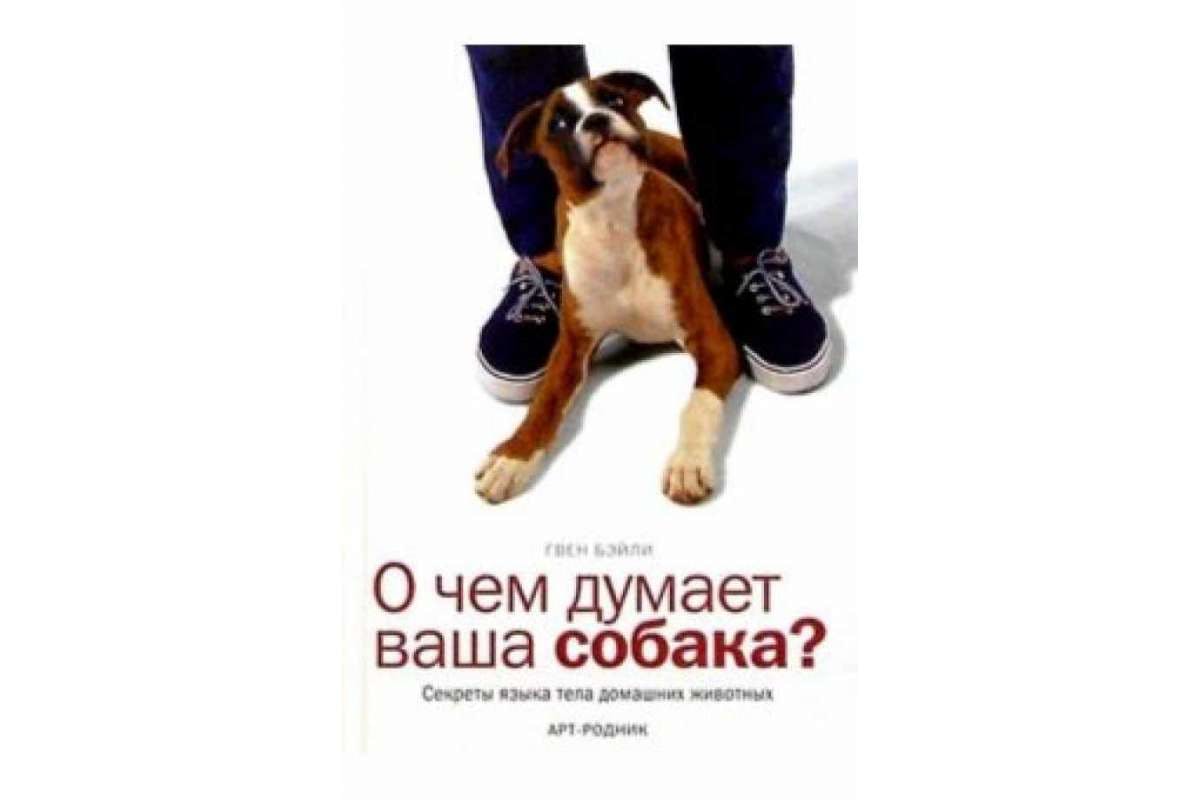 фильм о чем думает ваша собака